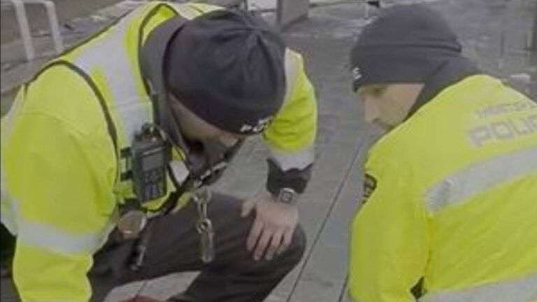 Městská policie Brno